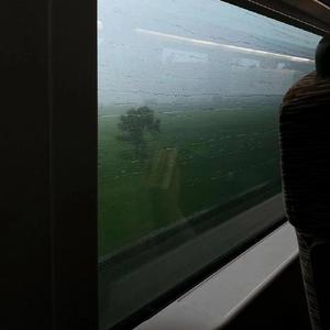 天天操天天色天天摸
